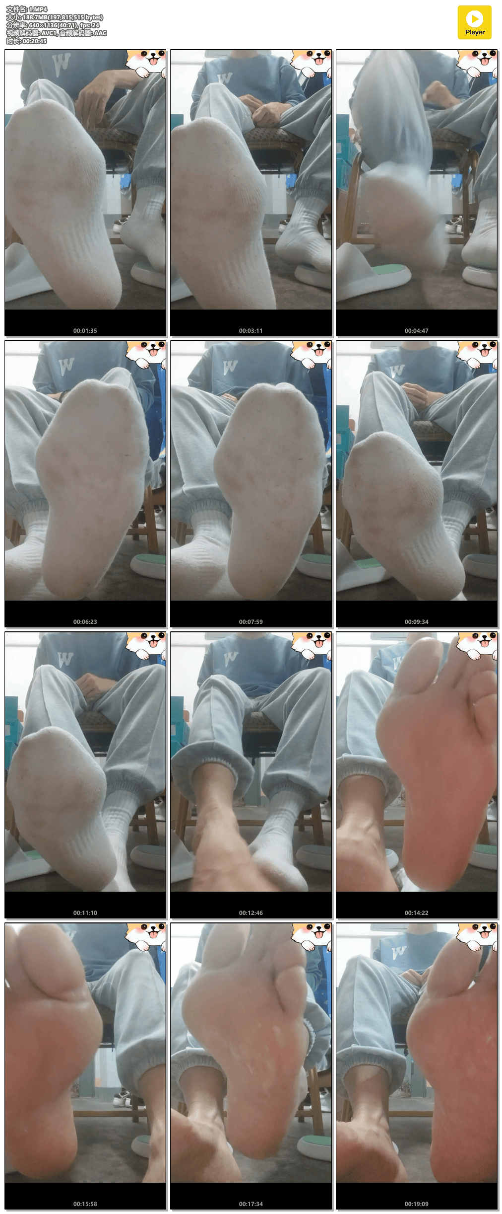 1395 陆墨尘 个人solo飞机